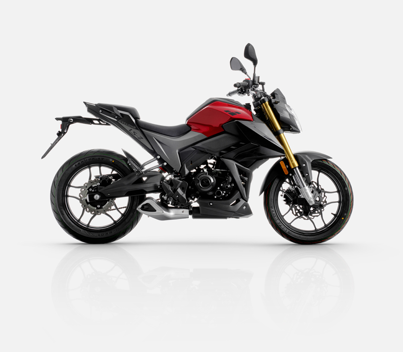 Lexmoto LS-Z 125 E55 — Grey/Red with Gold Forks